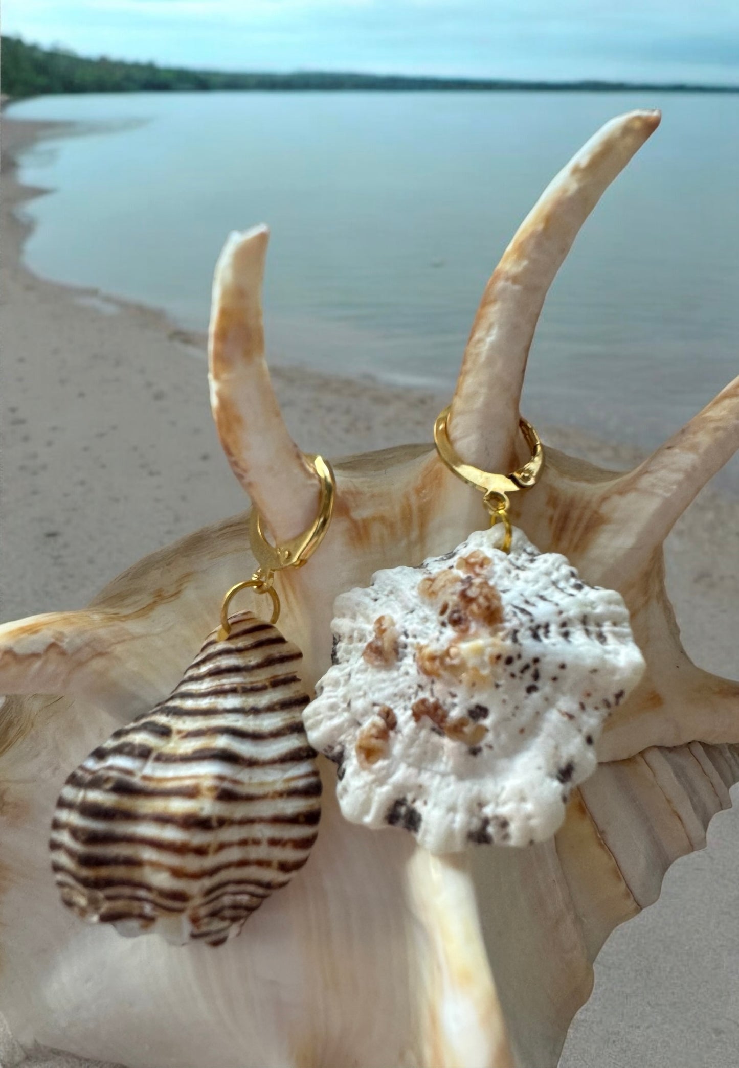 BOUCLES D'OREILLES CANA