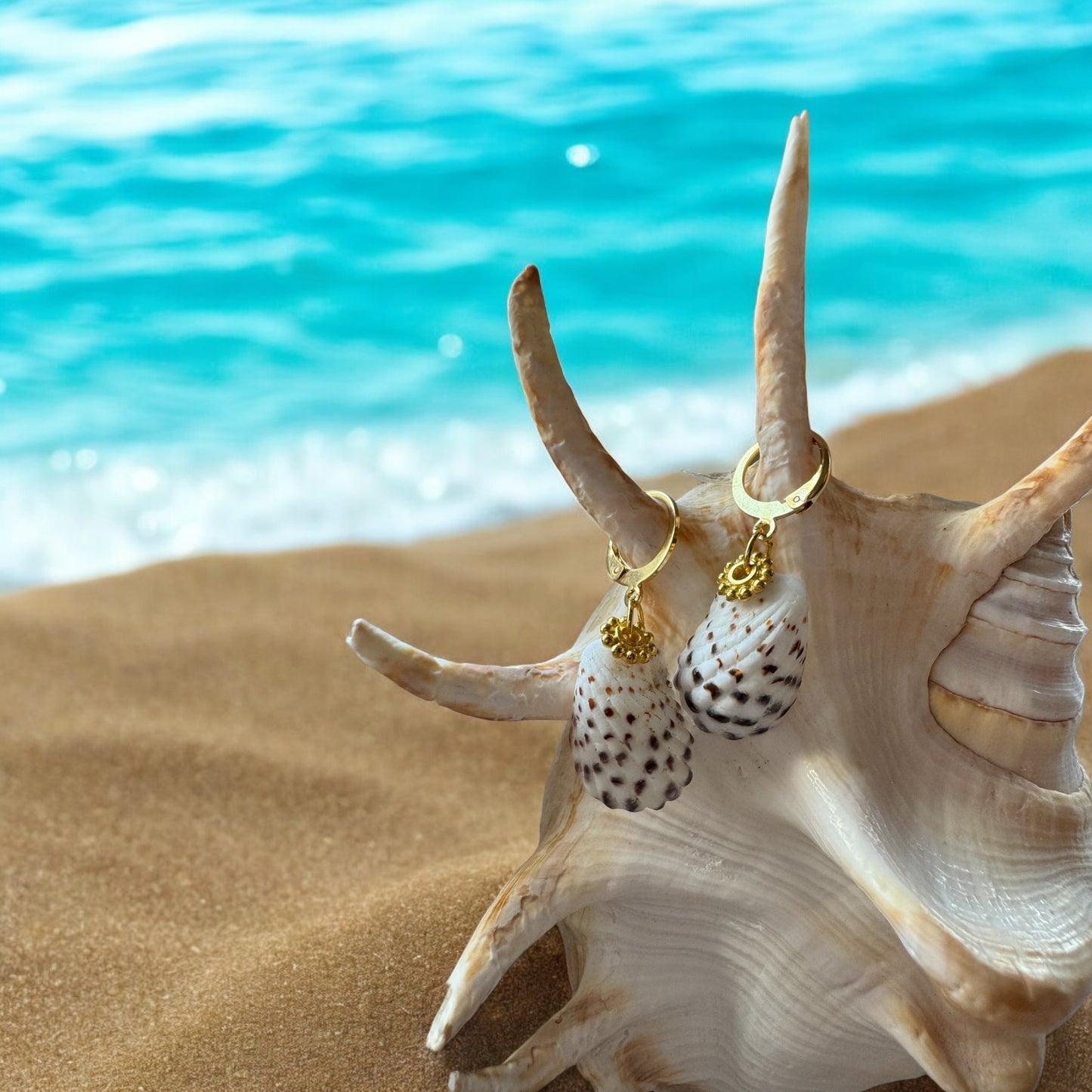 BOUCLES D'OREILLES VENUS